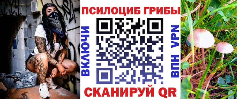 Псилоцибиновые грибы мицелий  Заозёрск 